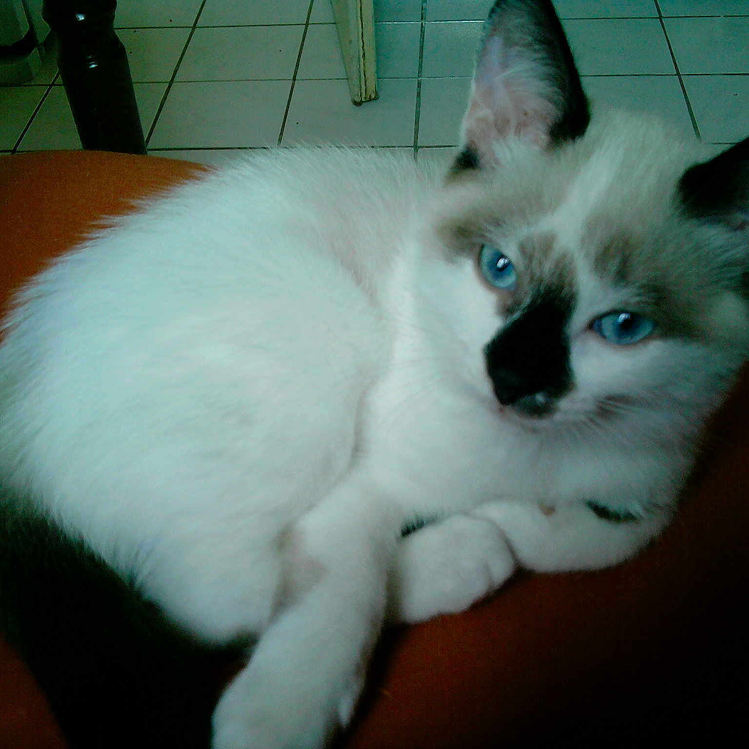 Tupac participe au concours pour gagner de l'argent avec cette photo :