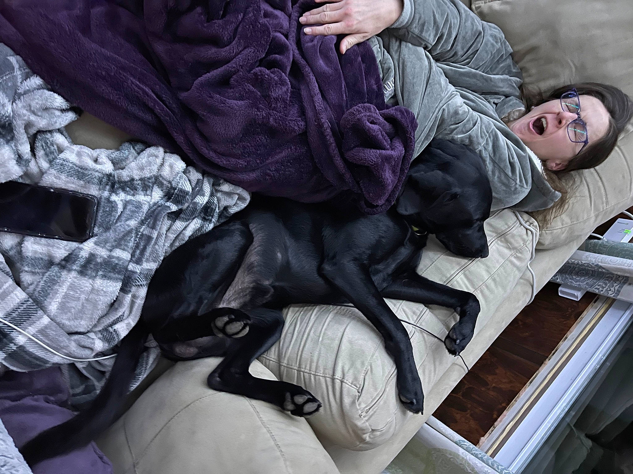 Cooper is registered to the contest to win money with this photo: auto_part, comfort, human_leg, knee, lap, leg, nap, purple, sitting, sleep, thigh