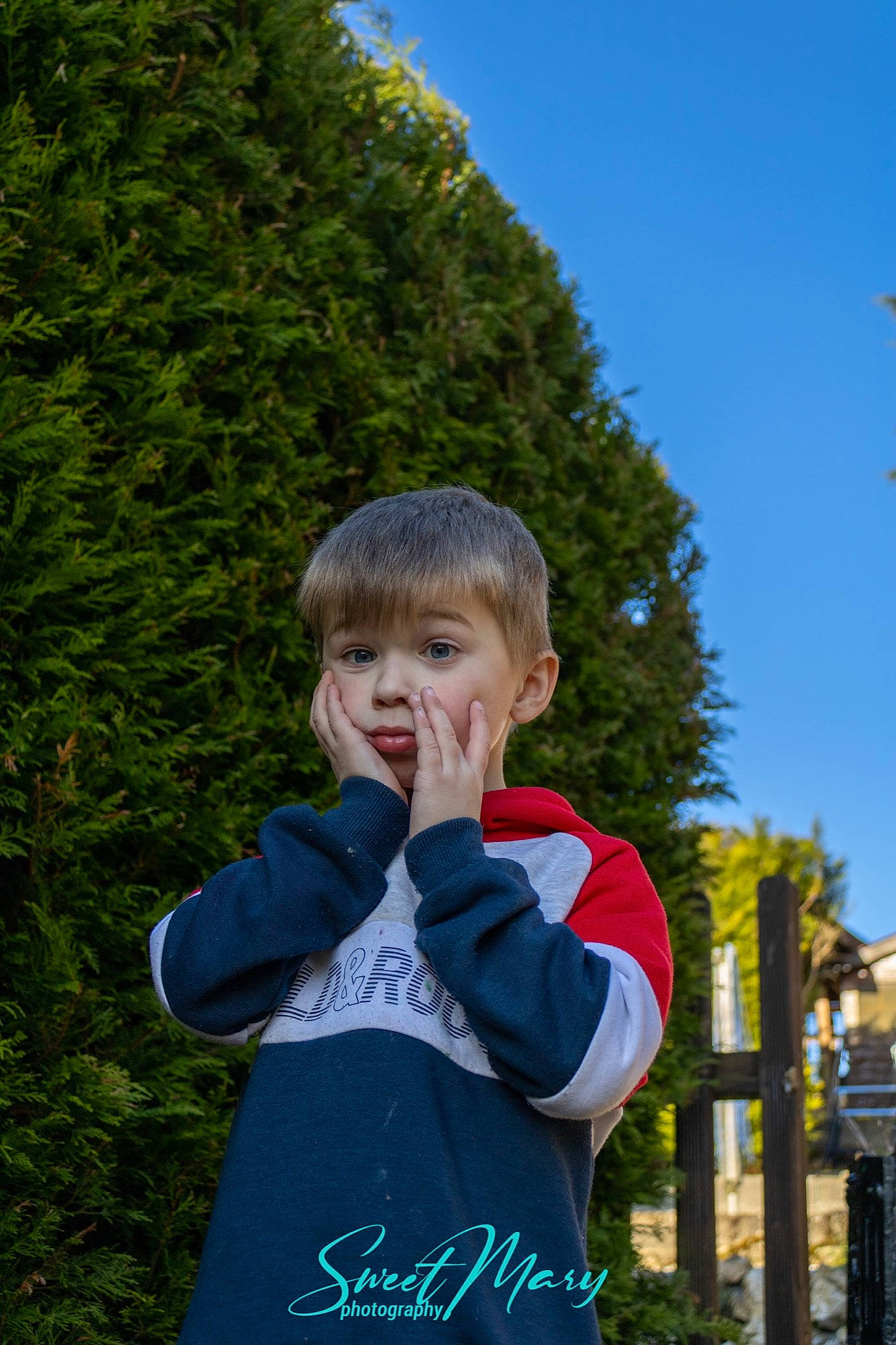 Sam participe au concours pour gagner de l'argent avec cette photo : child, conifer, electric_blue, fun, garden, gesture, grass, hairstyle, happy, leaf, leisure, people_in_nature, person, plant, recreation, sky, sleeve, standing, t_shirt, toddler