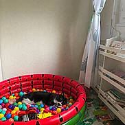 Hercule participe au concours pour gagner de l'argent avec cette photo : cat, black_and_white_cat, pet, animal, sleeping, ball_pit, colorful_balls, inflatable_pool, watermelon_design, toy, playroom, children_room, books, shelving, curtains, window, indoor, home, foam_mat, relaxed