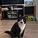 Hercule
