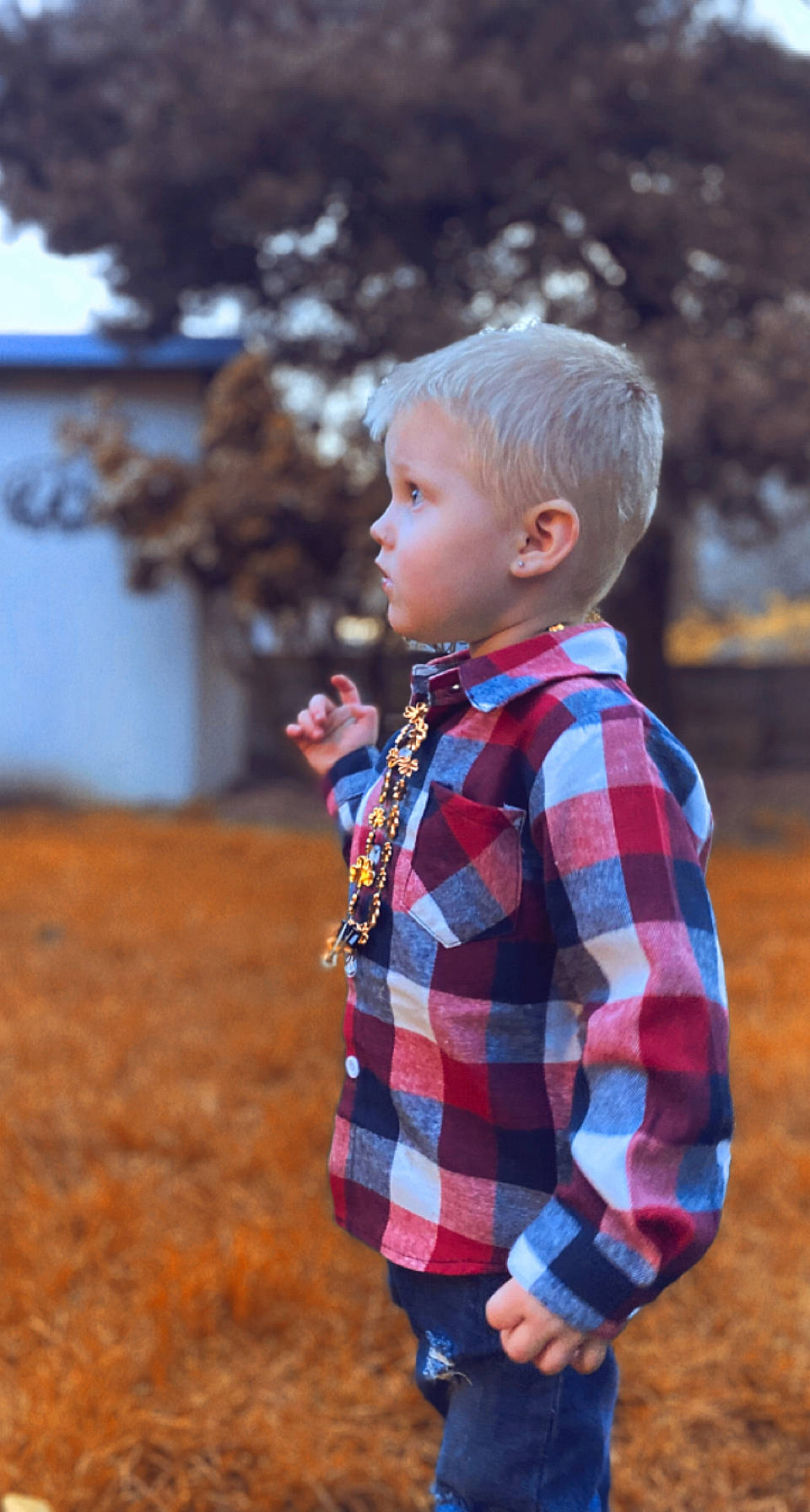 Greysen joined the competition — help win amazing prizes! child, electric_blue, grass, hair, hairstyle, happy, head, human_body, leisure, pattern, people_in_nature, person, plaid, plant, sleeve, street_fashion, t_shirt, tartan, toddler, tree