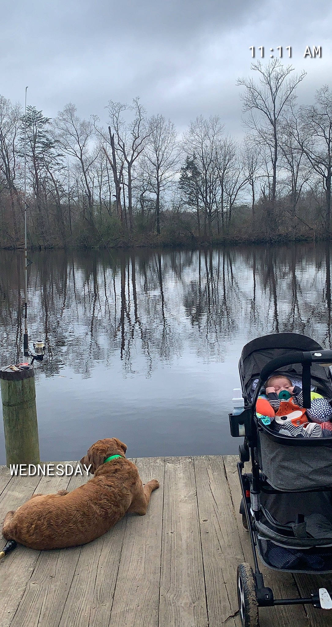 Tilly joined the competition — help win amazing prizes! bag, cloud, grass, lake, lake_district, landscape, leisure, luggage_and_bags, motor_vehicle, natural_landscape, plant, recreation, reflection, reservoir, sitting, sky, tree, water, winter, wood
