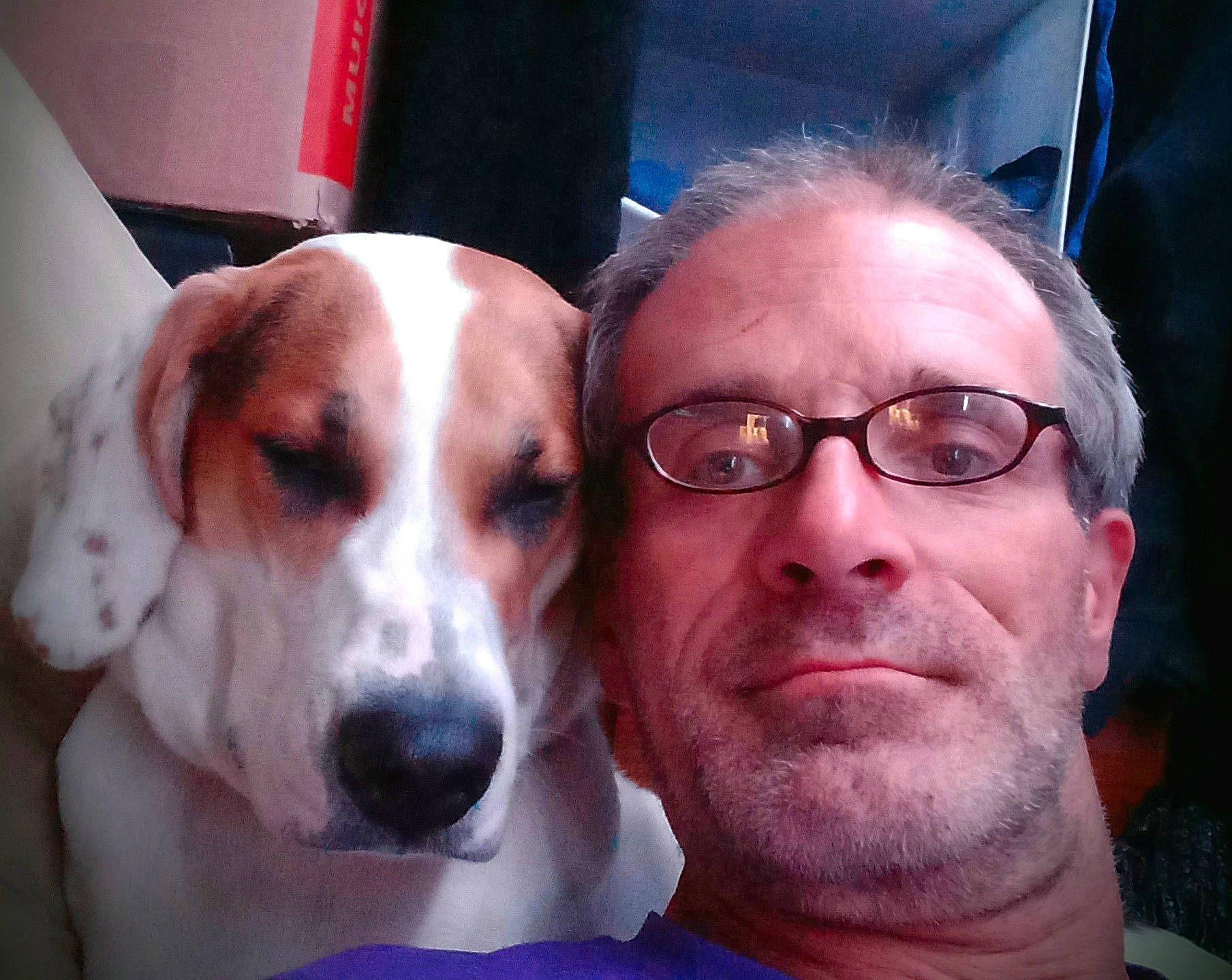 Penelope is registered to the contest to win money with this photo: beard, canidae, carnivore, companion_dog, dog, dog_breed, ear, eyewear, fawn, fur, glasses, jaw, nose, personal_protective_equipment, puppy_love, selfie, snout, sporting_group, vision_care, whiskers