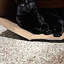 black_cat, cat, cardboard_box, carpet, indoor, pet, feline, curious, relaxed, whiskers, animal, cute, cozy, soft_light, paws, laying_down, fur, domestic_cat, close_up, shadow