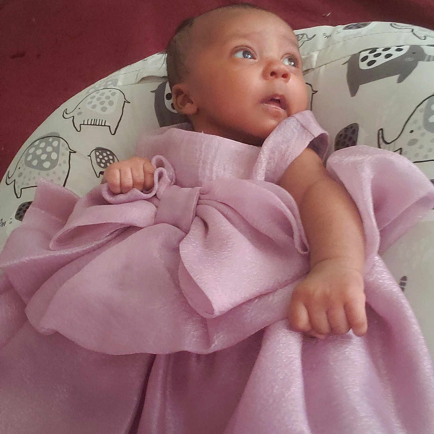 Amiliana joined the competition — help win amazing prizes! baby, bed, blanket, clothing, couch, crib, cushion, dress, face, furniture, head, homedecor, infantbed, newborn, person, photography, portrait, purple, quilt, sleeping