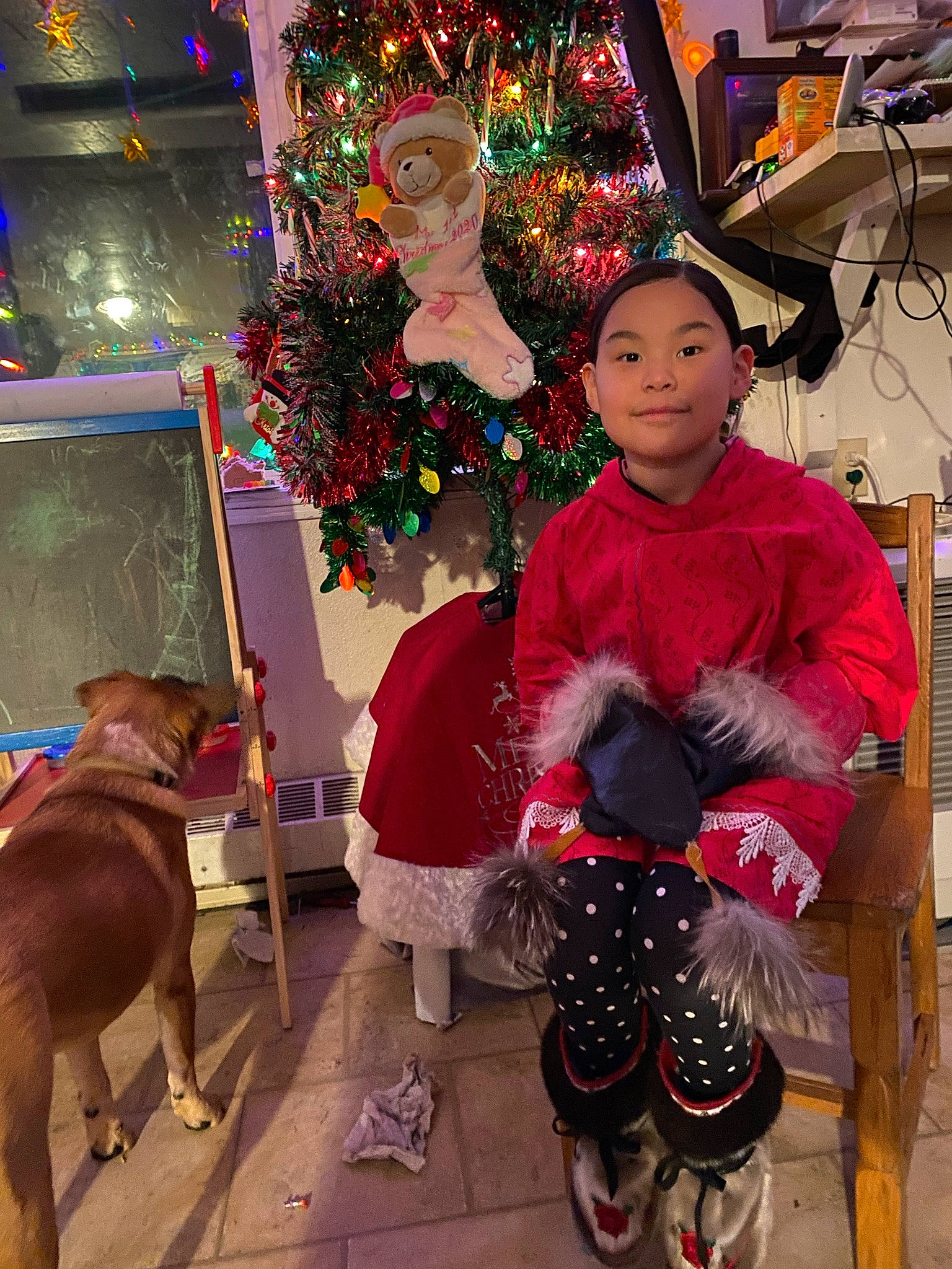 Priscilla is registered to the contest to win money with this photo: chair, christmas, christmas_decoration, christmas_tree, dog, event, fawn, fun, happy, headwear, holiday, joy, lap, leisure, magenta, ornament, person, pink, sandal, sitting