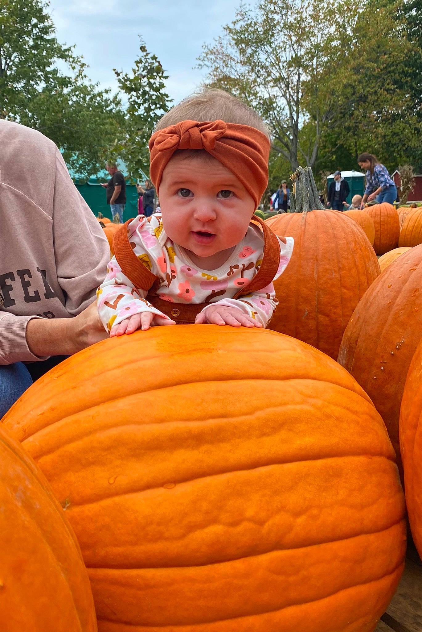Joelle joined the competition — help win amazing prizes! calabaza, cucurbita, facial_expression, gourd, grass, head, headwear, human_body, local_food, natural_foods, orange, person, plant, pumpkin, shorts, sky, smile, squash, tree, vegetable
