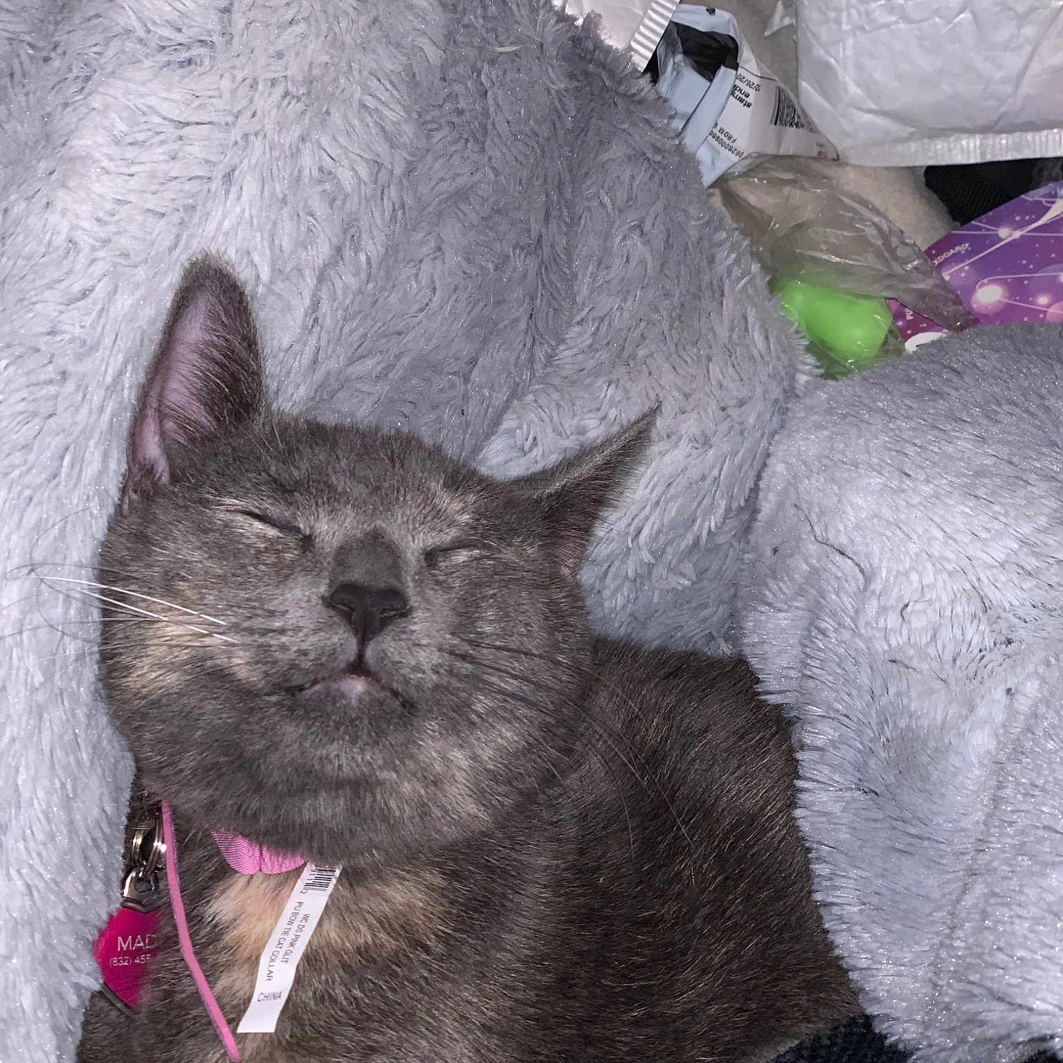 Gracie