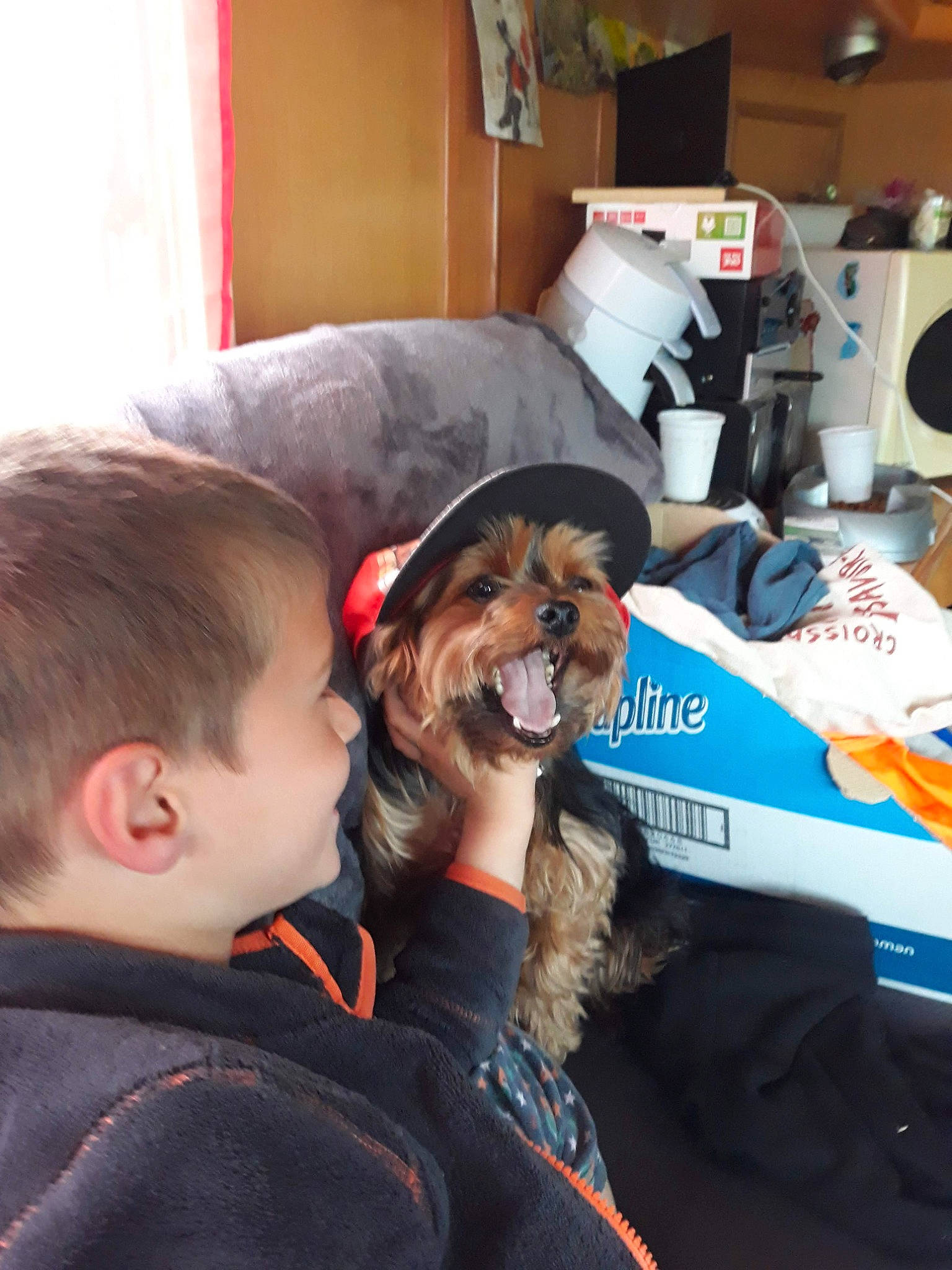 Nana participe au concours pour gagner de l'argent avec cette photo : automotive_exterior, automotive_tire, canidae, carnivore, companion_dog, dog, dog_breed, eyewear, fur, hat, helmet, jacket, motorsport, open_wheel_car, personal_protective_equipment, race_car, racing, sporting_group, t_shirt, tire