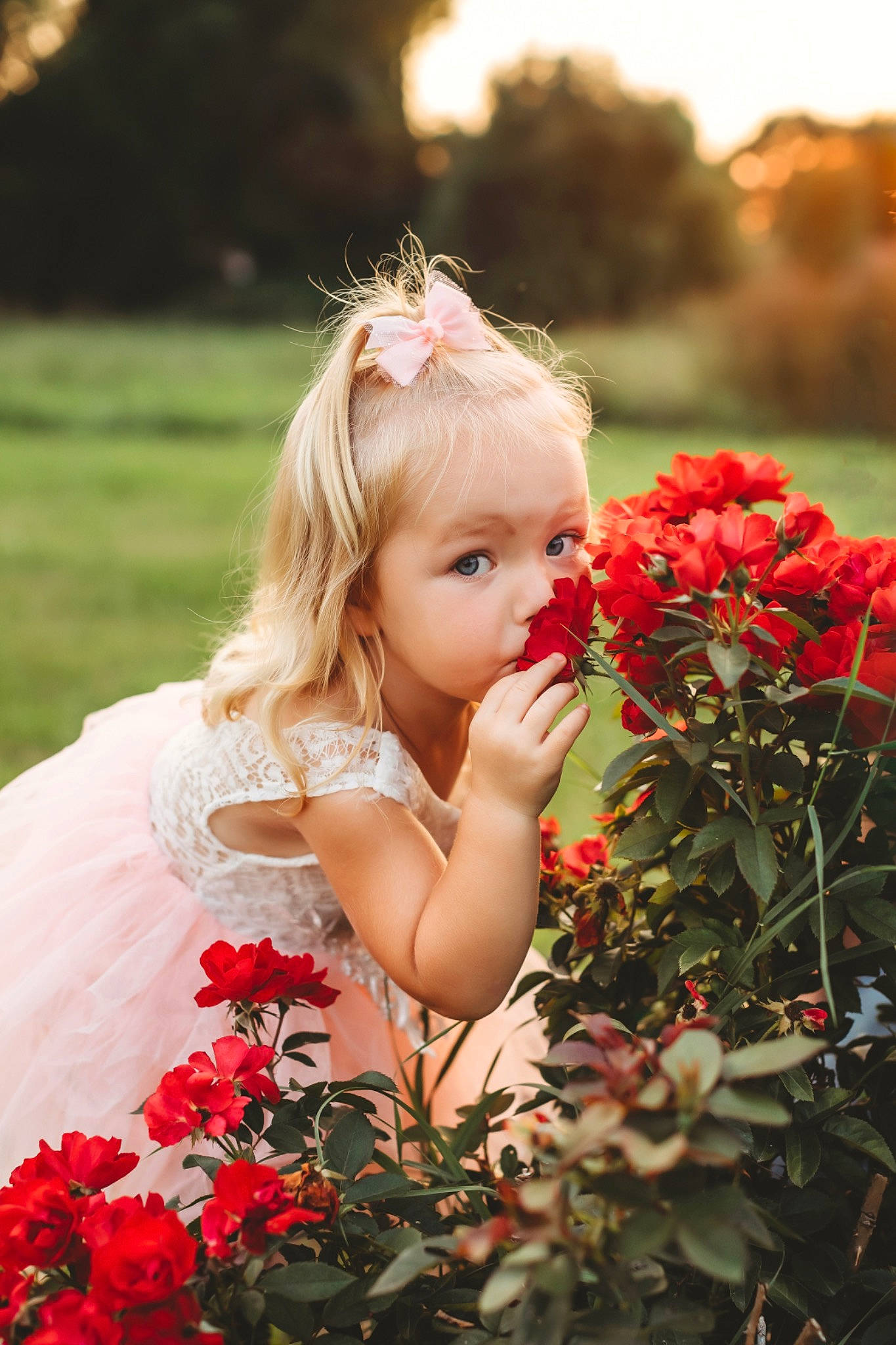 Karley joined the competition — help win amazing prizes! beauty, botany, flash_photography, flower, flower_arranging, grass, happy, hybrid_tea_rose, leaf, lip, nature, people_in_nature, person, petal, photograph, pink, plant, red, rose, summer