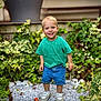 toddler, child, smiling, green_shirt, denim_shorts, toy_car, pebbles, plants, outdoor, garden, happy, person, casual_clothing, shoes, nature, summer, portrait, daylight, small_toy, blond_hair