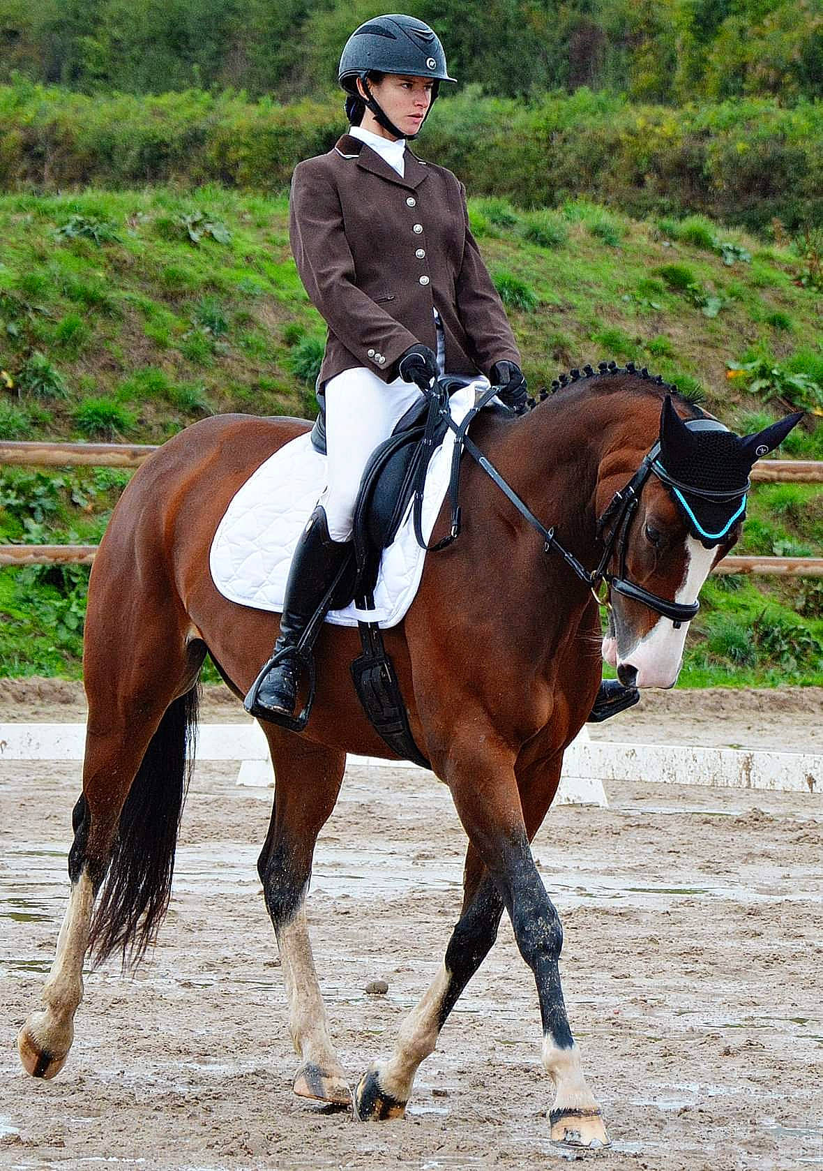 Arsenic participe au concours pour gagner de l'argent avec cette photo : animal_sports, bridle, dressage, endurance_riding, english_riding, equestrian, equestrian_helmet, equestrian_sport, equestrianism, halter, horse, horse_supplies, horse_tack, mammal, mane, outdoor_recreation, recreation, rein, saddle, vertebrate