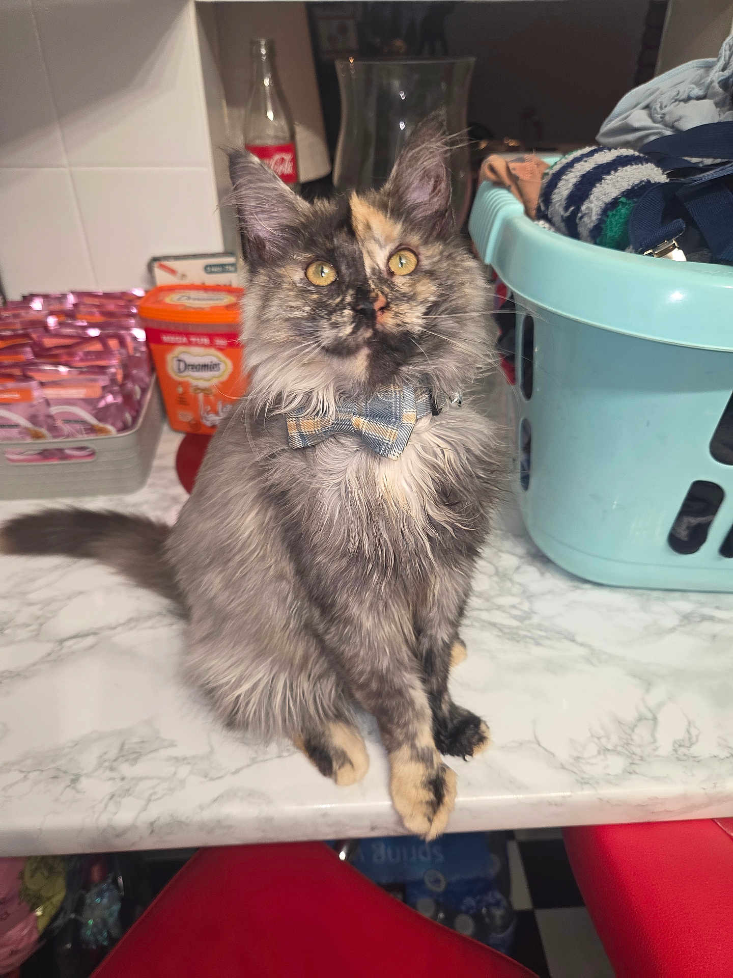 Loki
