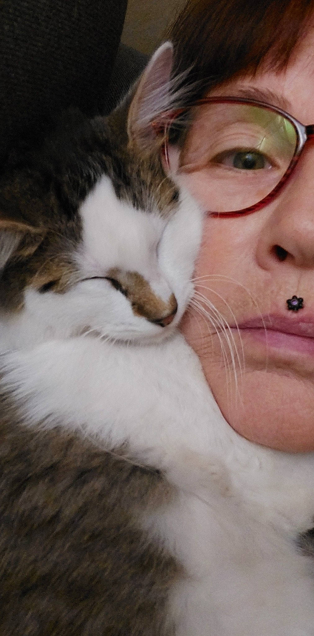 Simba participe au concours pour gagner de l'argent avec cette photo : carnivore, cat, ear, eye, eyebrow, eyelash, felidae, gesture, glasses, hair, happy, head, human_body, iris, jaw, lip, nose, organ, vision_care, whiskers