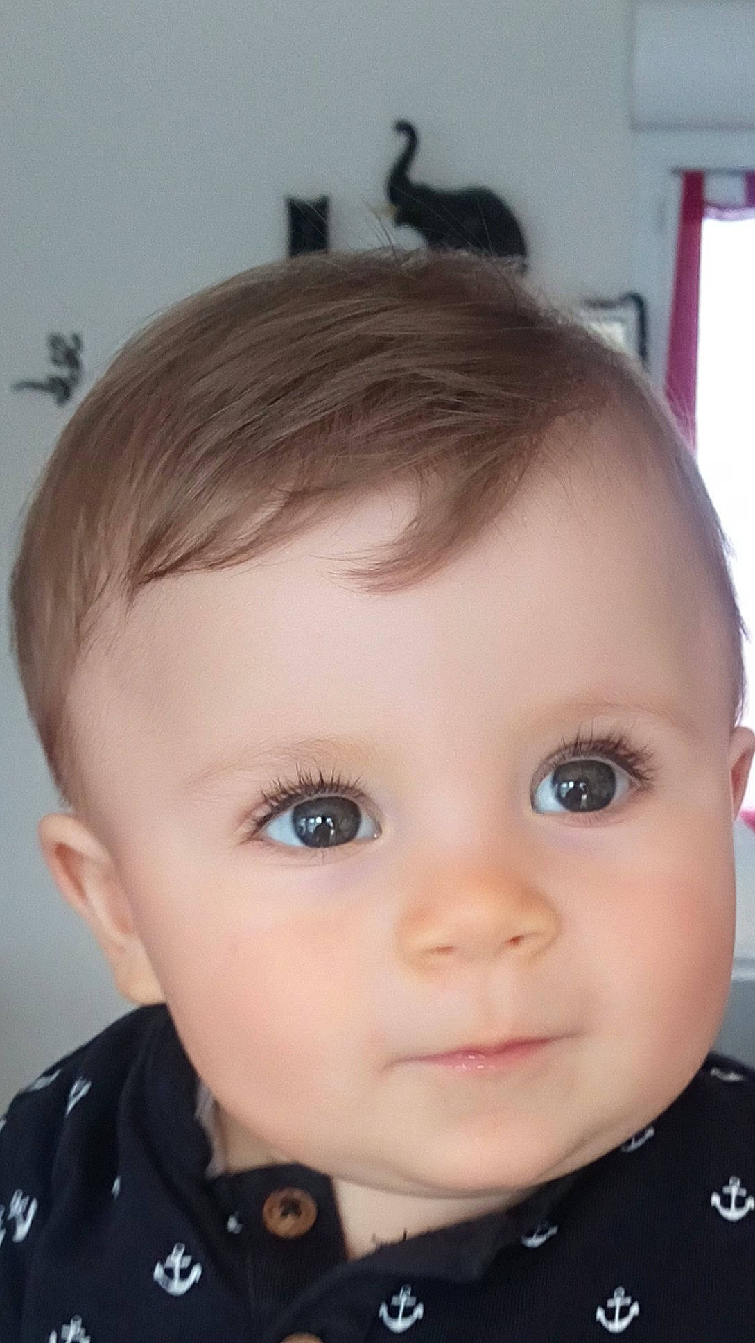 Lony a rejoint le concours — aidez-le/la à gagner de superbes lots ! baby, black_hair, brown_hair, cheek, child, chin, ear, eye, eyebrow, face, forehead, hair, hairstyle, head, iris, lip, mouth, nose, person, skin