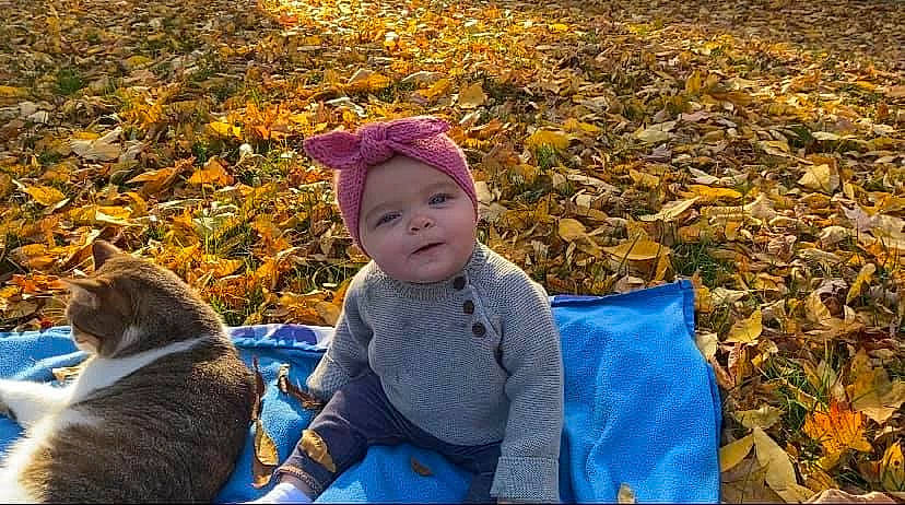 Laylin is registered to the contest to win money with this photo: autumn, baby, baby_laughing, baby_products, baby_toddler_clothing, beanie, bonnet, carnivore, child, deciduous, headwear, human, knit_cap, lavender, leaf, nose, people_in_nature, person, purple, toddler