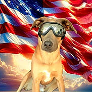 Charlie joined the competition — help win amazing prizes! dog, goggles, american_flag, flag, patriotic, outdoor, sky, clouds, sunset, grass, landscape, reflection, animal, canine, sitting, field, vibrant_colors, background, portrait, funny