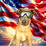 dog, goggles, american_flag, flag, patriotic, outdoor, sky, clouds, sunset, grass, landscape, reflection, animal, canine, sitting, field, vibrant_colors, background, portrait, funny