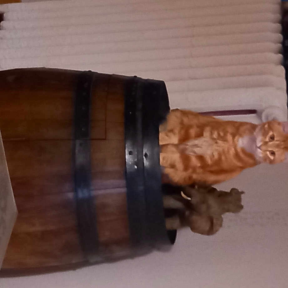 Garfield