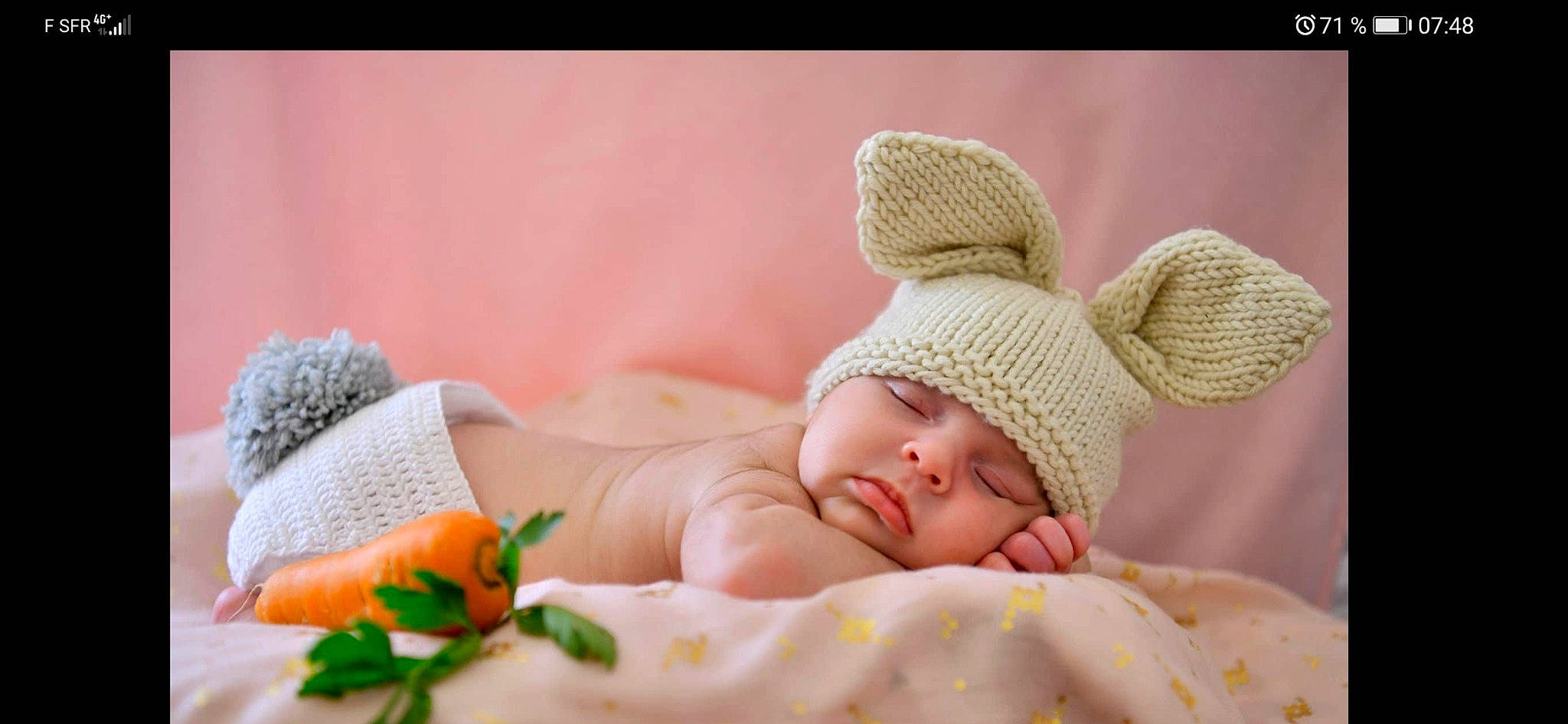 Gloria Camelia Maribelle