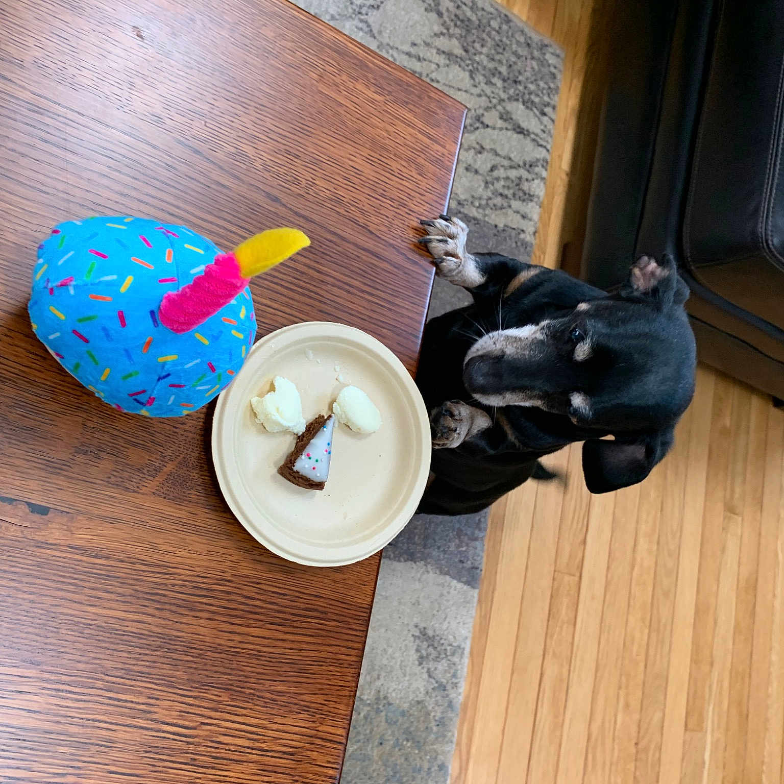 Buddy joined the competition — help win amazing prizes! button, ceiling, circle, door, door_handle, electric_blue, fashion_accessory, flooring, hardwood, hat, home_door, metal, plywood, room, sculpture, varnish, window, wood, wood_flooring, wood_stain