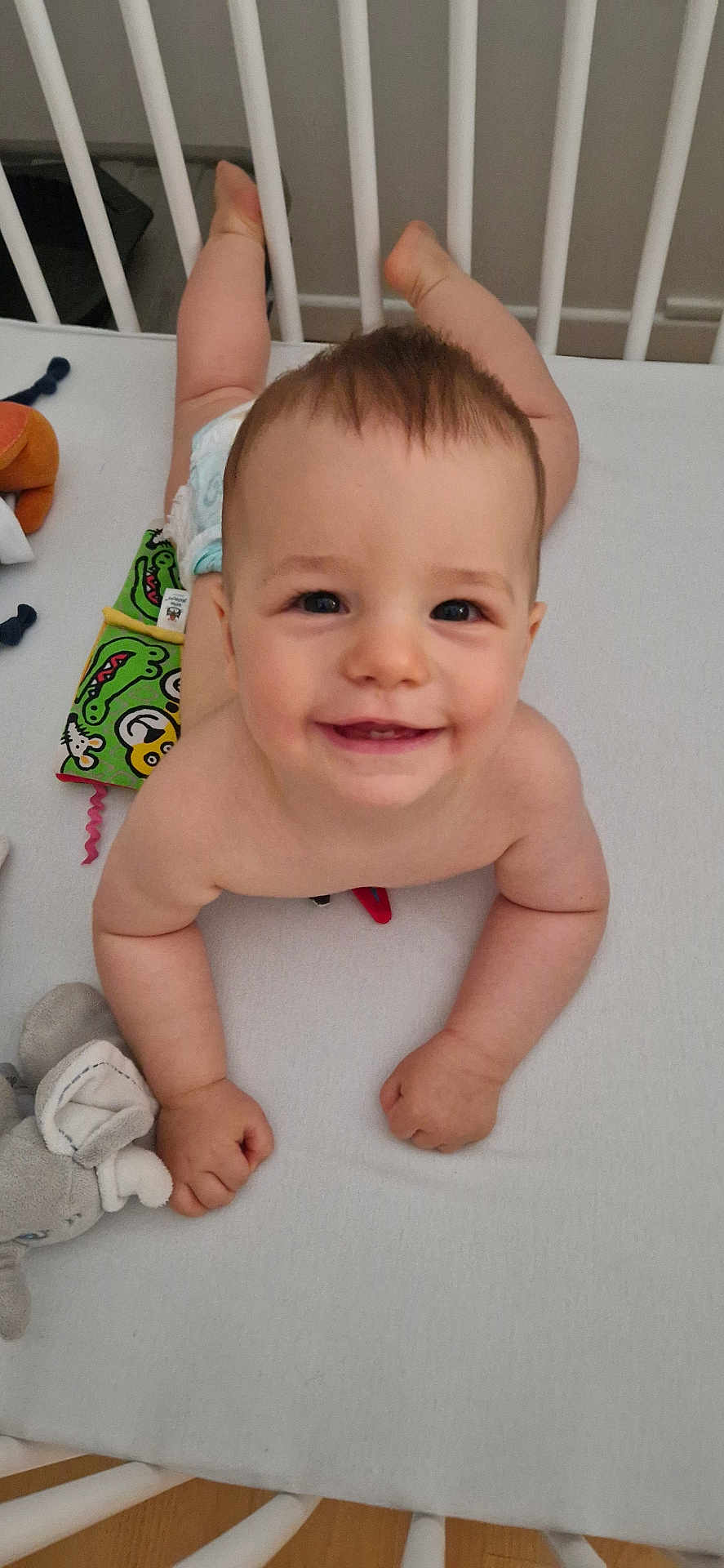 Hayden