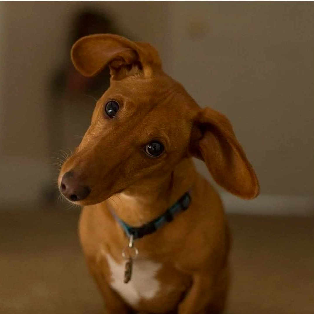 Marley