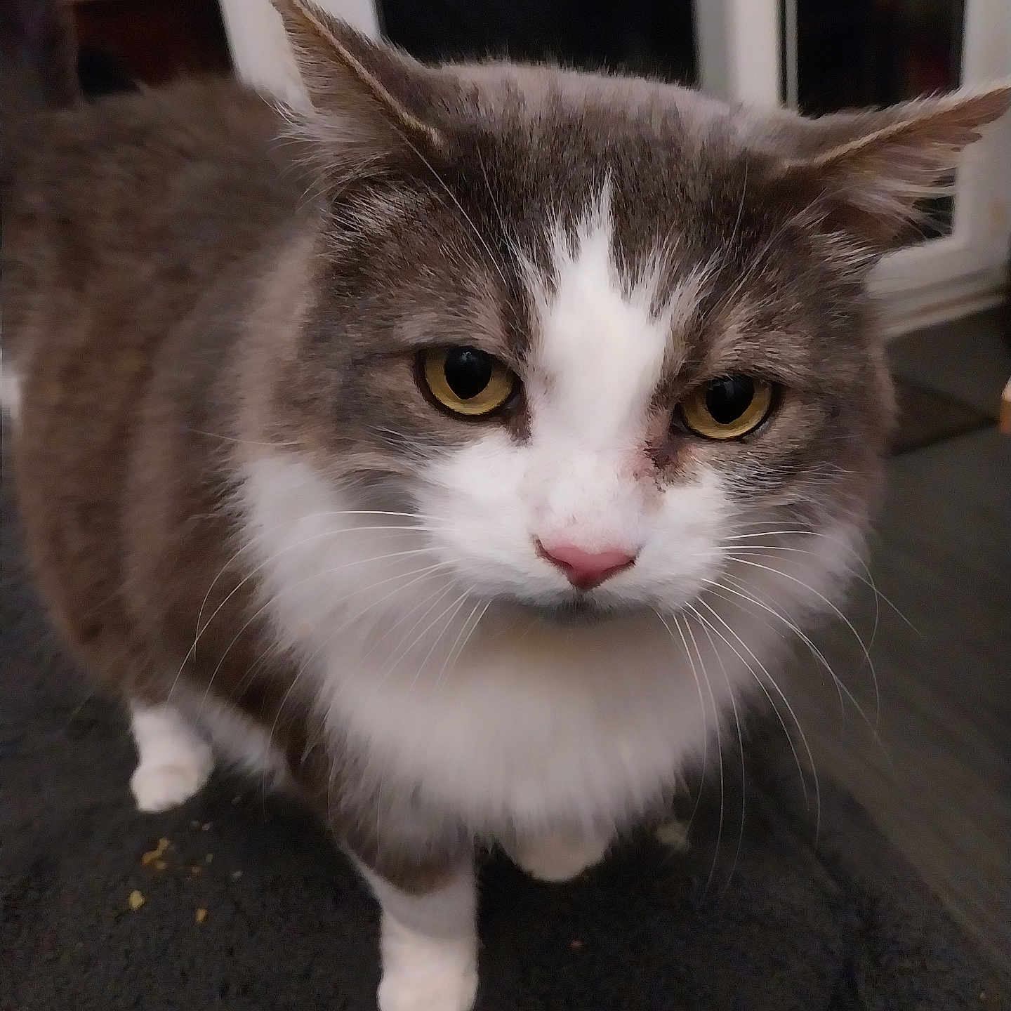 Bouba