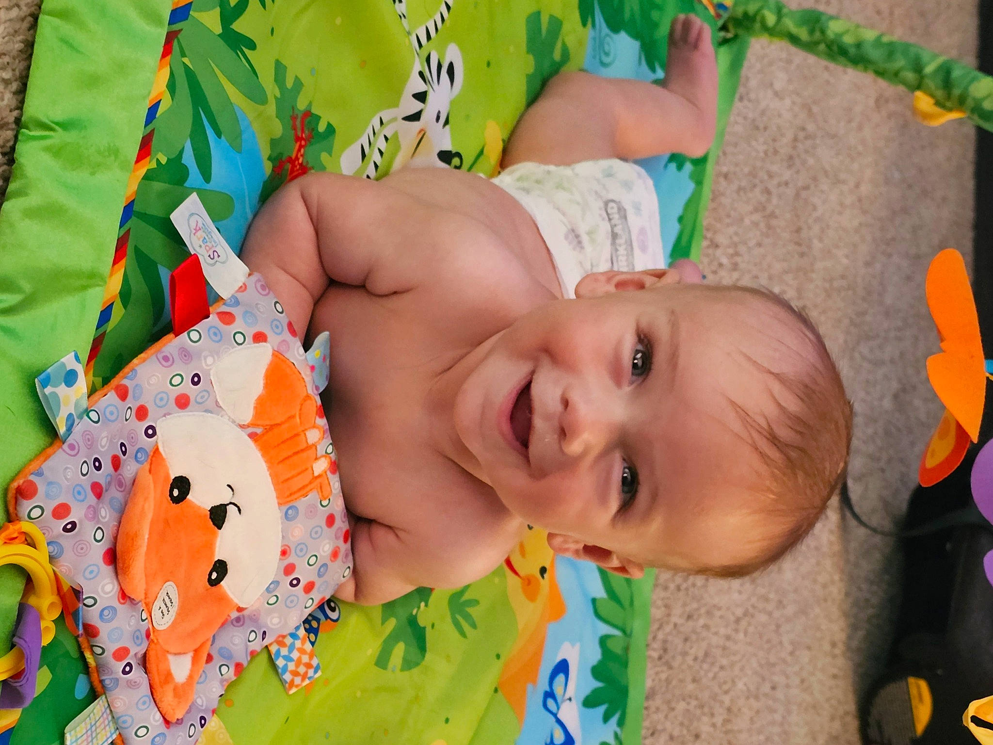 Bodhi is registered to the contest to win money with this photo: baby, baby_products, baby_toddler_clothing, cheek, child, facial_expression, fun, grass, green, happy, joy, leisure, mouth, nose, orange, people_in_nature, person, skin, smile, textile