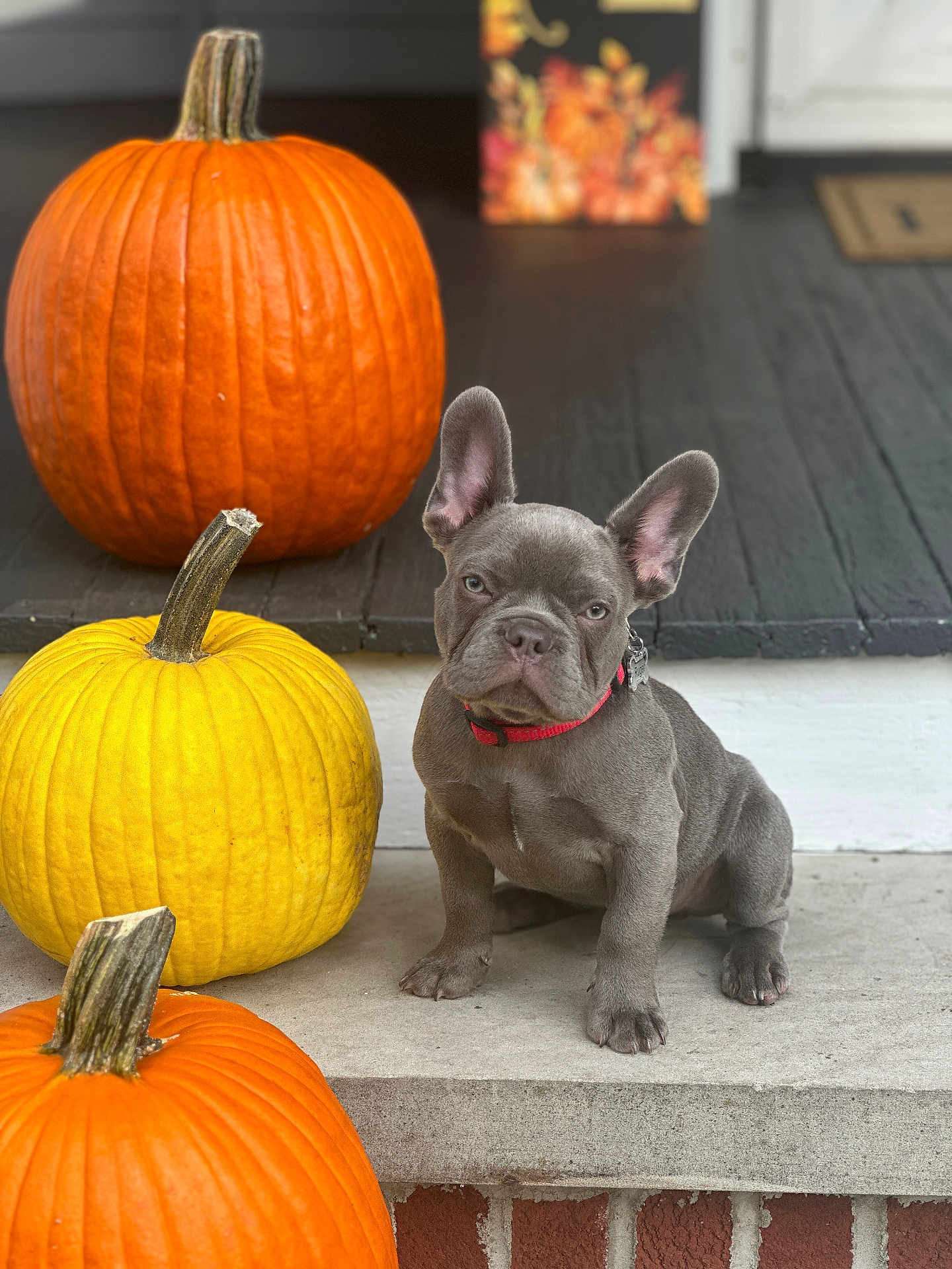 Ruger
