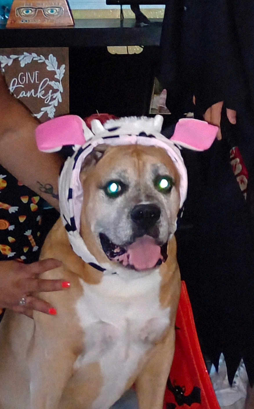 Chico