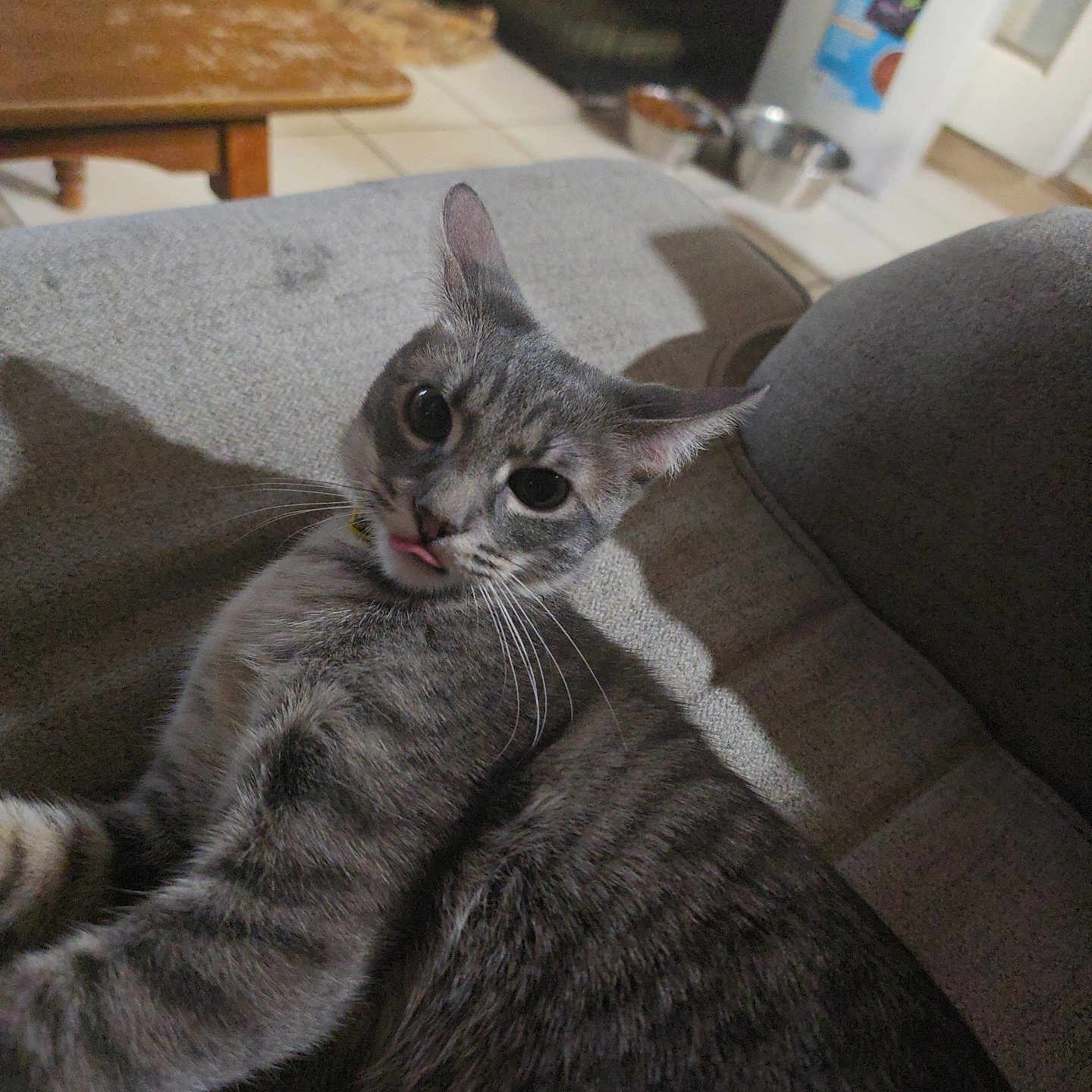 Gabby