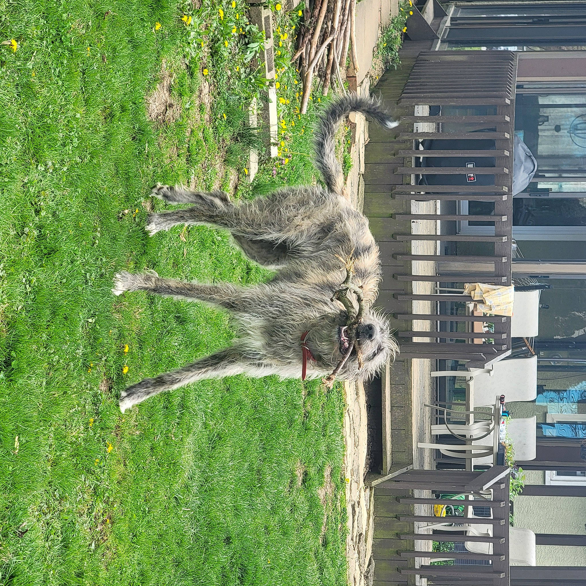 Una joined the competition — help win amazing prizes! art, biome, building, city, condominium, facade, grass, groundcover, house, landscape, nature, plant, sculpture, tower, tree, trunk, urban_design, vegetation, window, wood