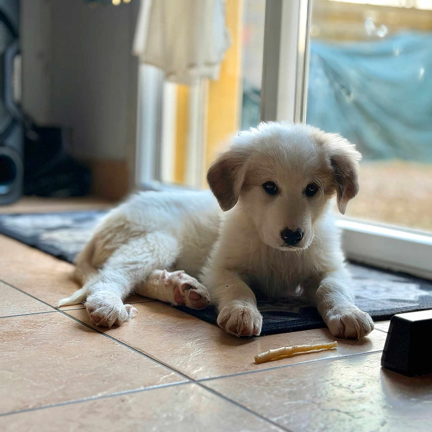 Bella