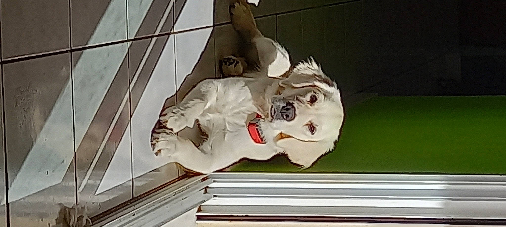 Tweety participe au concours pour gagner de l'argent avec cette photo : art, artifact, building, carmine, carving, daylighting, door, facade, fictional_character, house, personal_protective_equipment, room, sculpture, statue, visual_arts, window, wood