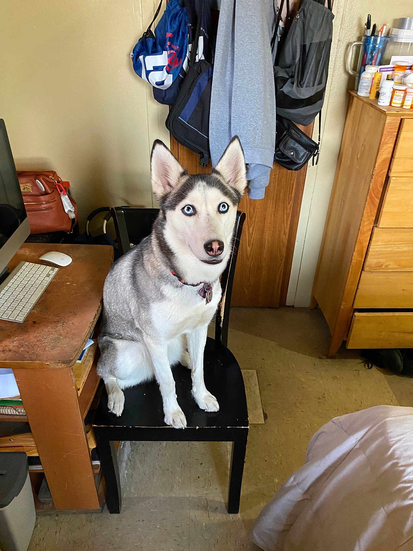 Luna