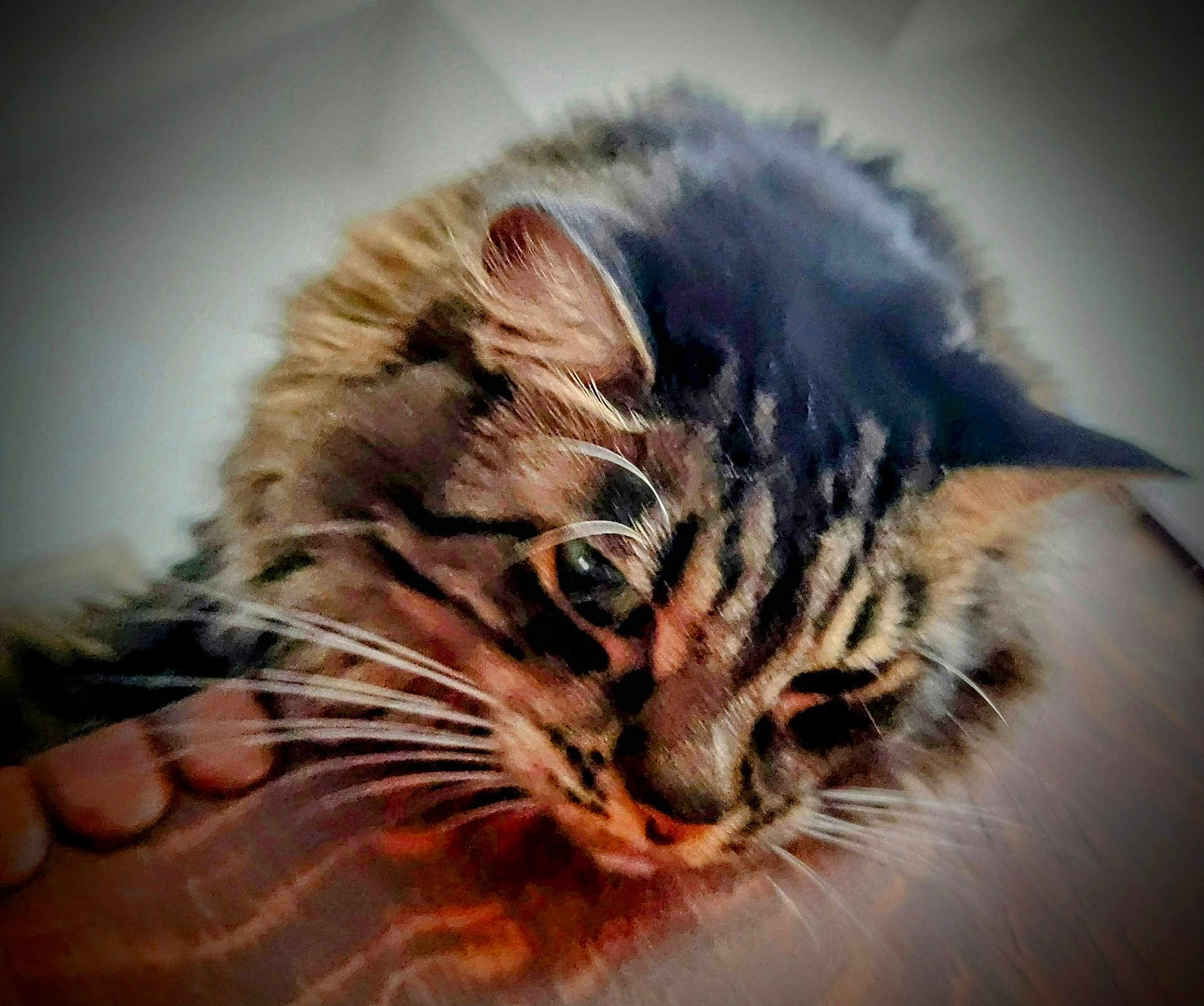 Sarah