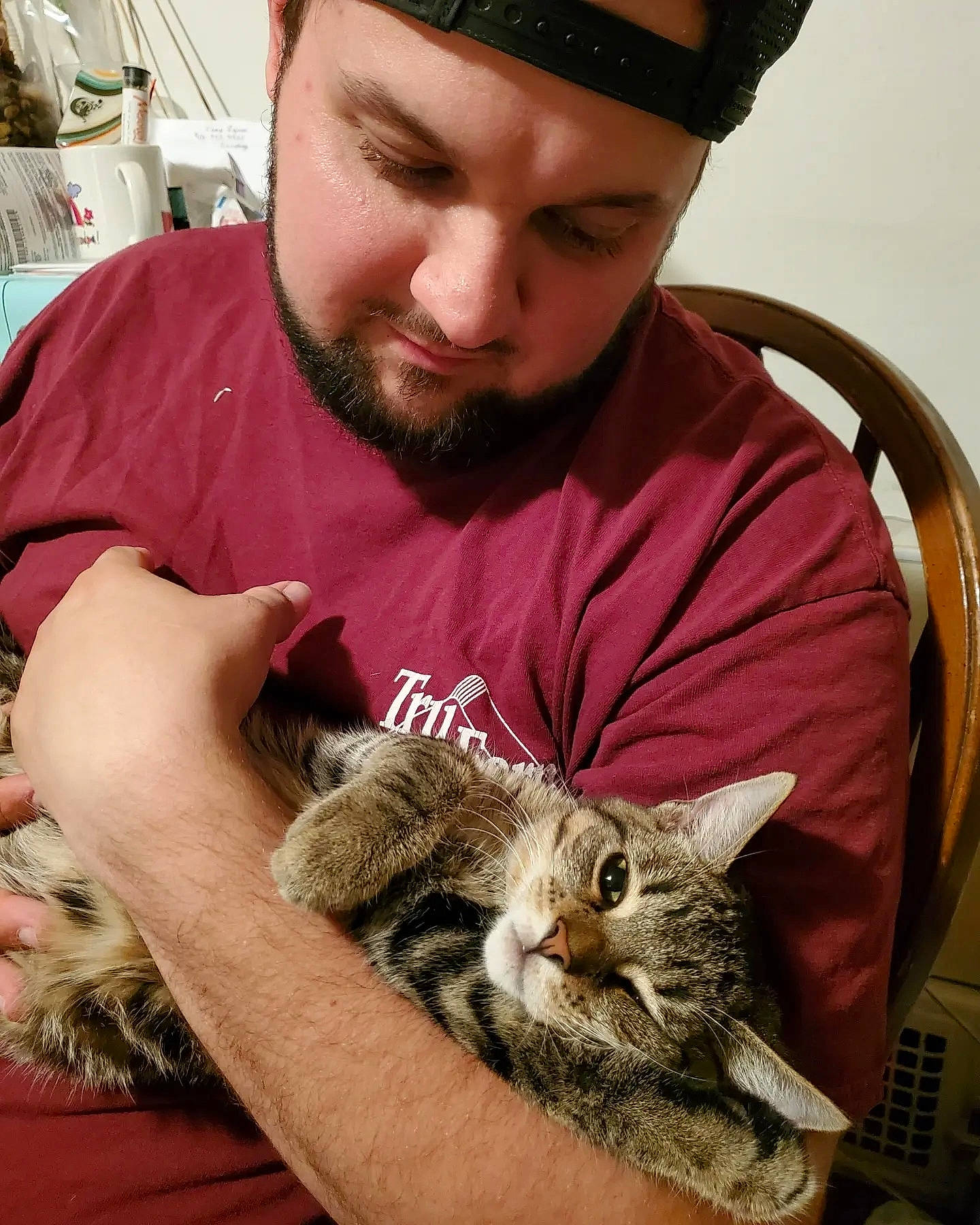 Rafa is registered to the contest to win money with this photo: baseball_cap, beard, cap, carnivore, cat, claw, domestic_short_haired_cat, ear, eyewear, facial_hair, fawn, felidae, fur, lap, moustache, small_to_medium_sized_cats, snout, whiskers, wildlife, wildlife_biologist