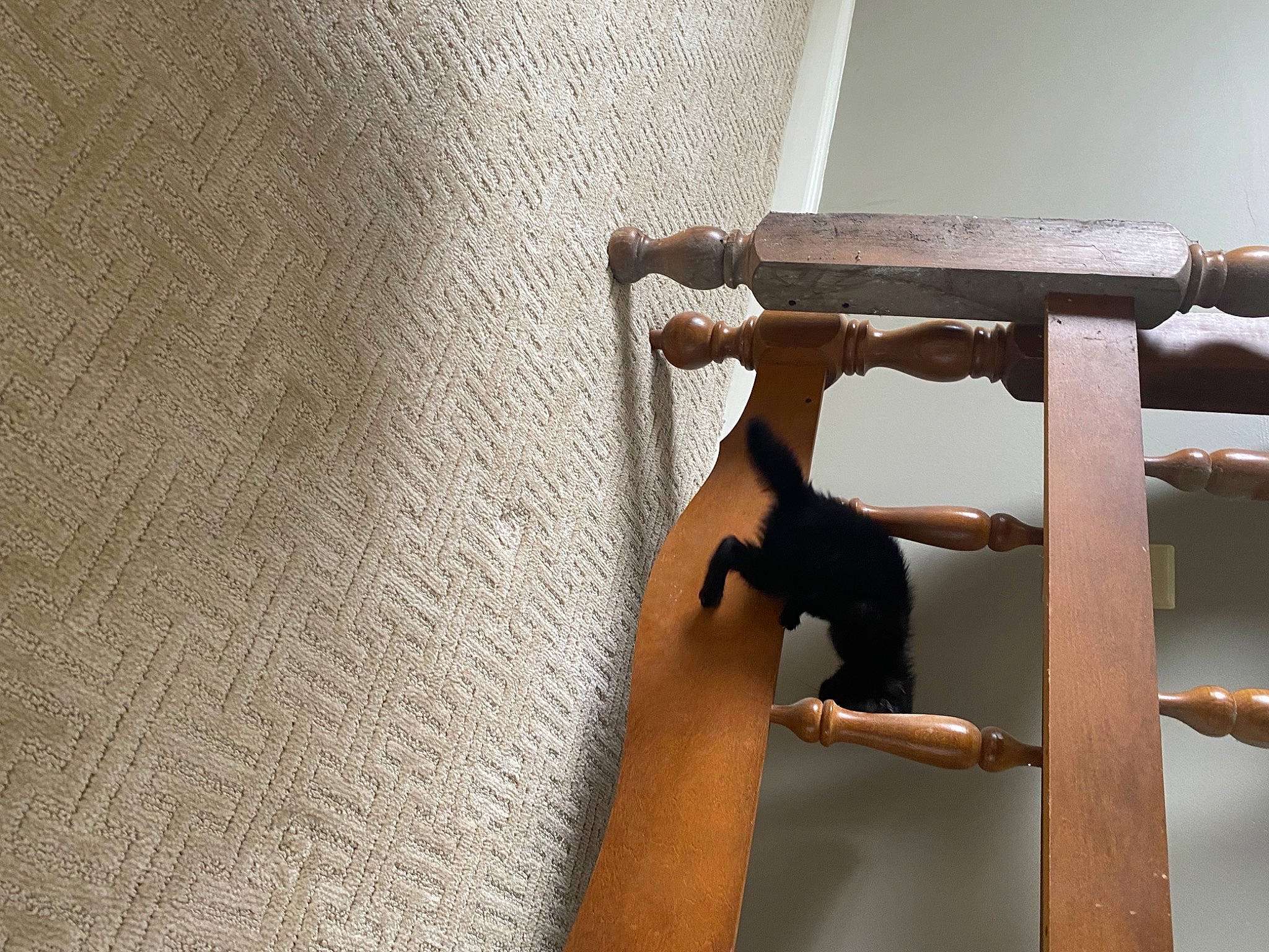 Mavis joined the competition — help win amazing prizes! balance, ceiling, cross, door, elbow, hardwood, home_door, metal, pipe, plywood, religious_item, room, shadow, surveillance_camera, symbol, tints_and_shades, wood, wrist