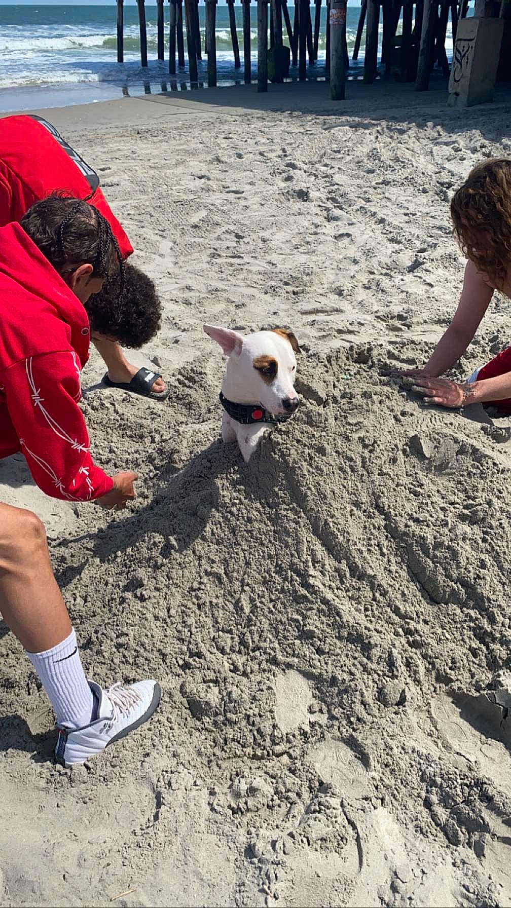 Moose is registered to the contest to win money with this photo: ball, beach, carmine, competition_event, fun, grass, hat, human_leg, knee, leisure, play, player, recreation, sand, shorts, sock, soil, sports, t_shirt, thigh
