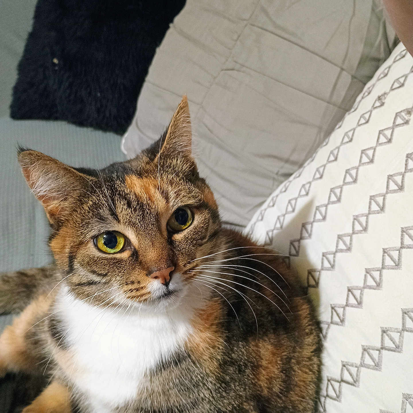 Kali