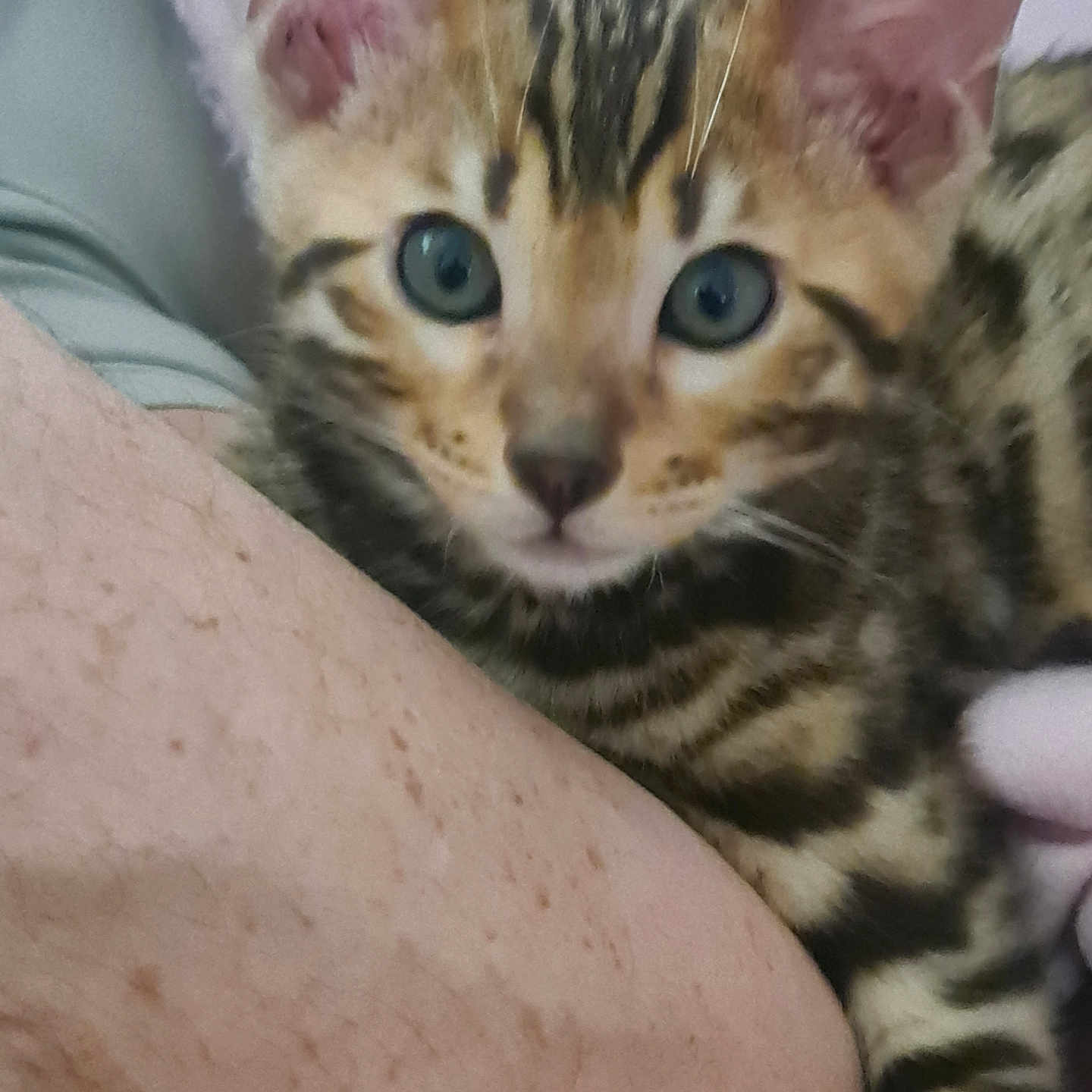 Leo