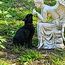 dog, black_dog, statue, angel_statue, garden, outdoor, grass, plants, foliage, nature, animal, pet, sitting, curious, nose_to_nose, sculpture, white_statue, sunlight, backyard, companionship