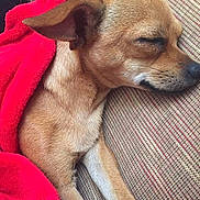 Annabelle is registered to the contest to win money with this photo: