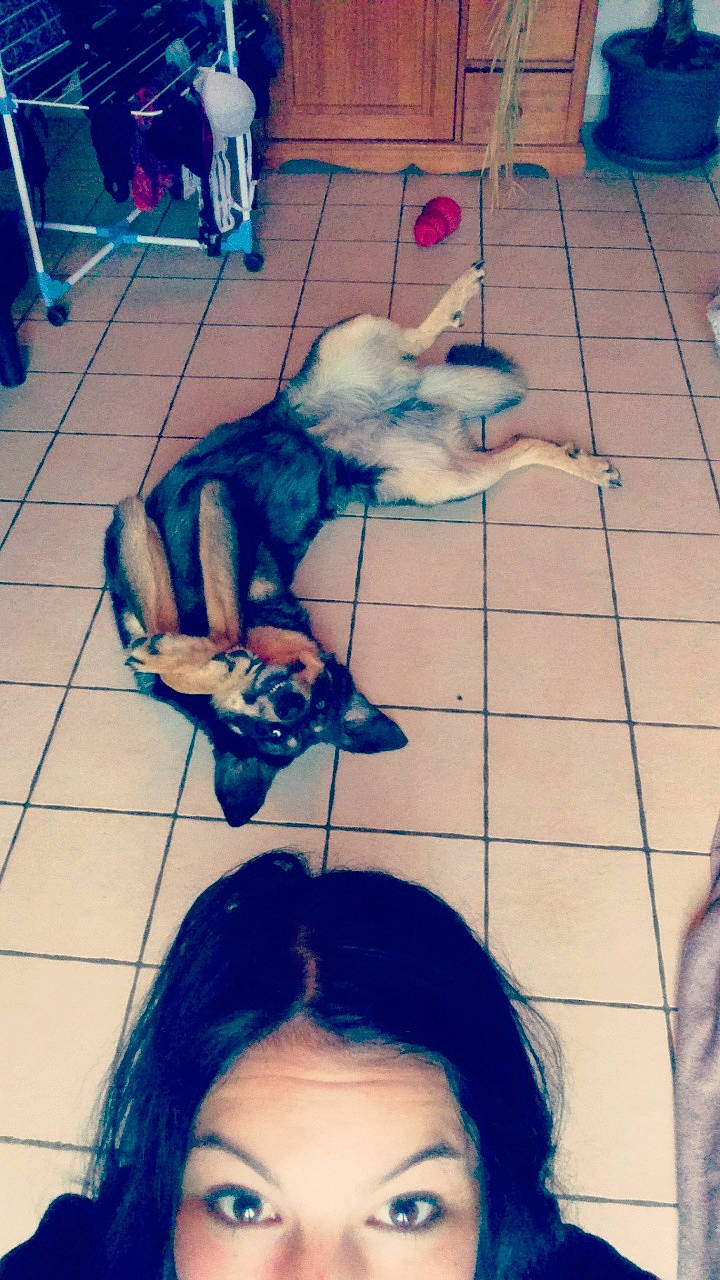 Fauve a rejoint le concours — aidez-le/la à gagner de superbes lots ! black_hair, canidae, child, ear, fun, hair, head, leg, long_hair, mouth, photography, snapshot