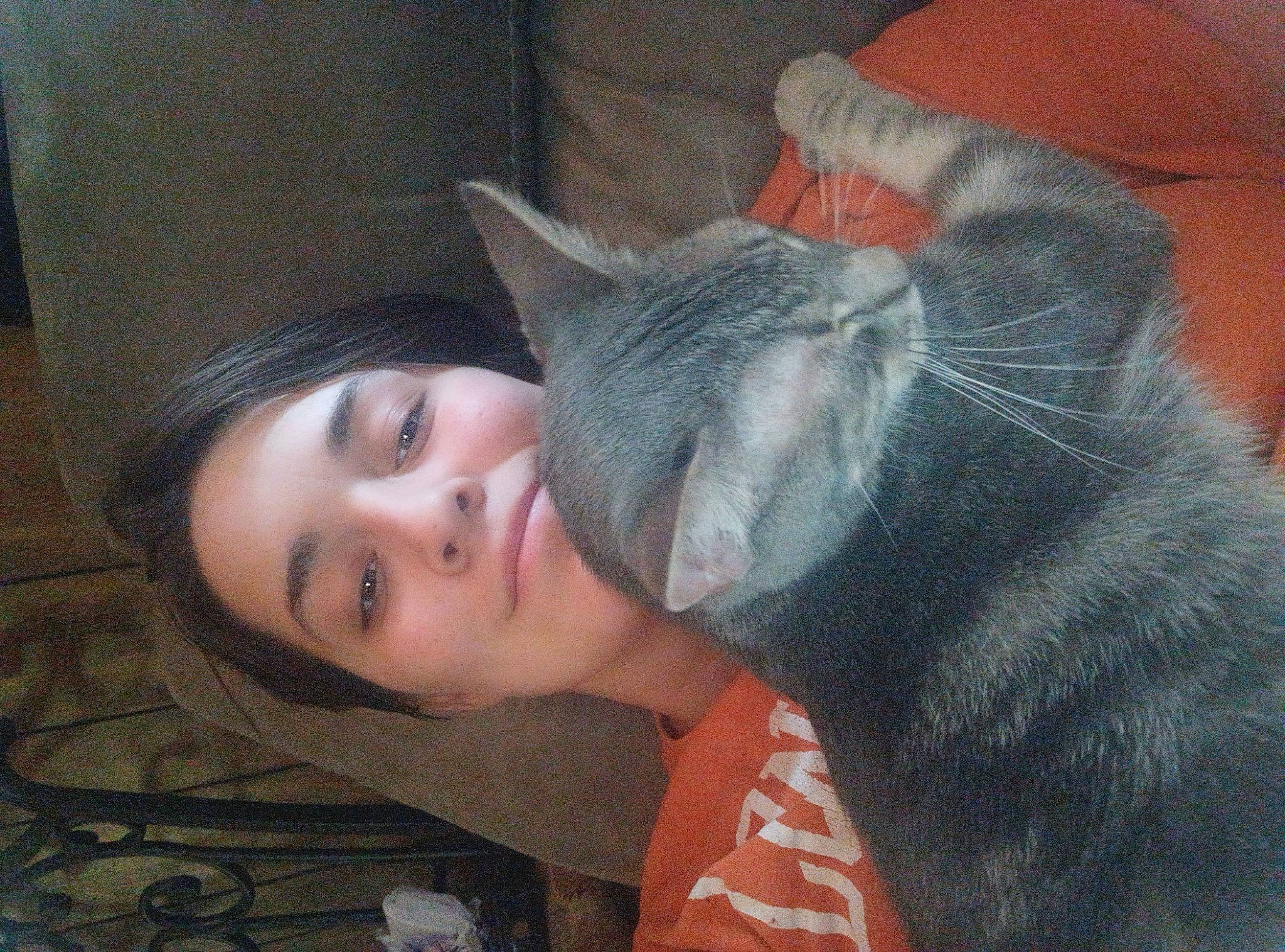 Eureka is registered to the contest to win money with this photo: carnivore, comfort, dog_breed, domestic_short_haired_cat, ear, eye, felidae, fur, grey, head, jaw, neck, nose, selfie, sitting, small_to_medium_sized_cats, tail, tree, whiskers, wool