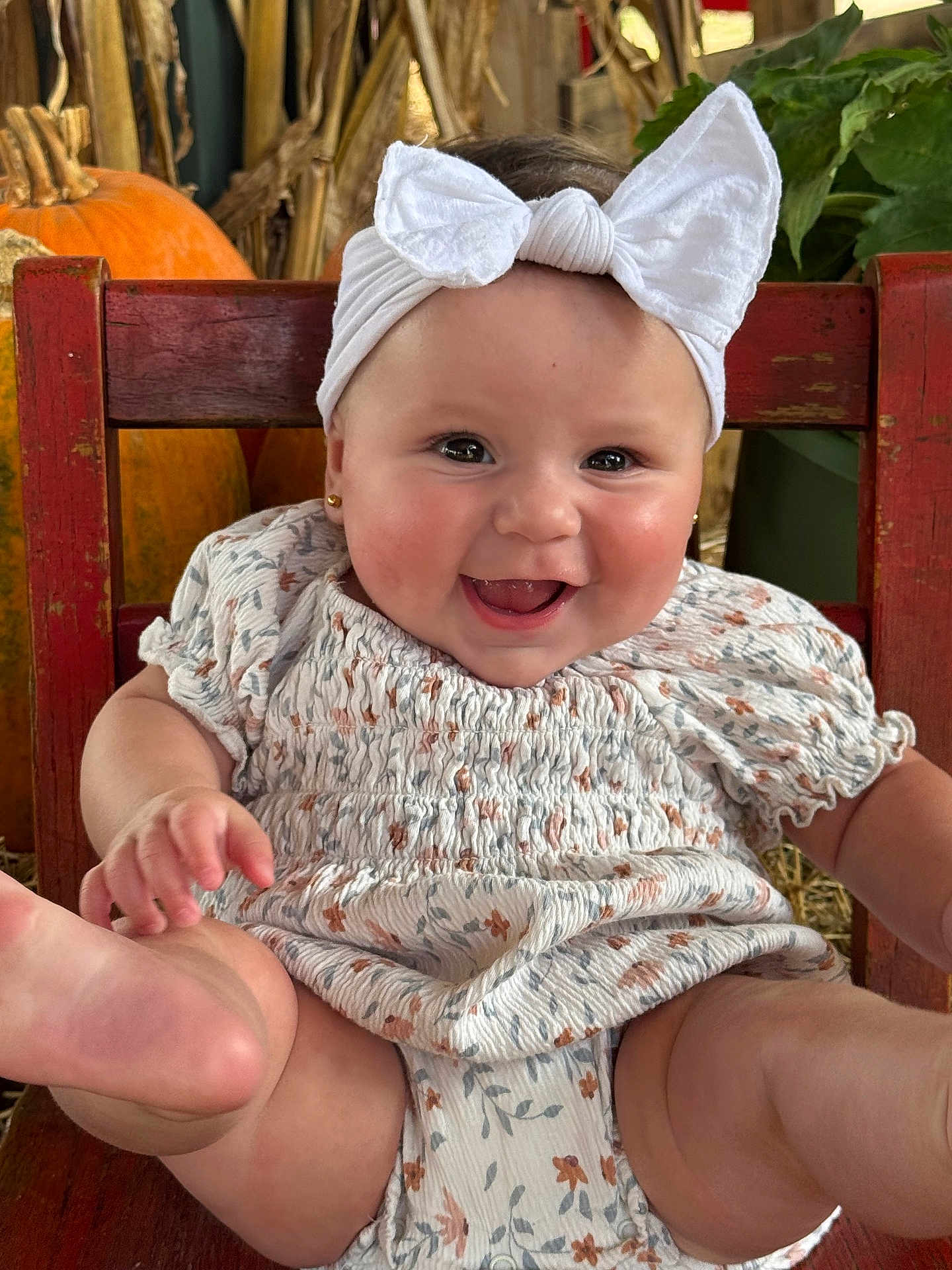 Adelynn is registered to the contest to win money with this photo: baby, child, headband, bow, smiling, laughing, chair, pumpkin, autumn, orange, greenery, clothing, cute, happy, portrait, sitting, furniture, indoor, skin, face
