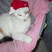 Ivana a rejoint le concours — aidez-le/la à gagner de superbes lots !