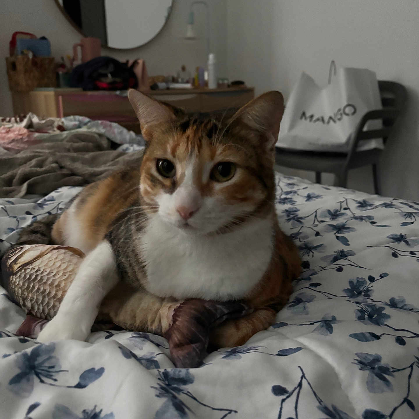 Paprika joined the competition — help win amazing prizes! cat, calico_cat, pet, animal, feline, whiskers, ears, eyes, white_chest, orange_fur, black_fur, sitting, bed, bedroom, floral_bedding, plush_toy, fish_toy, mirror, dresser, shopping_bag